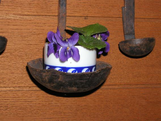 sumire-otama.jpg
