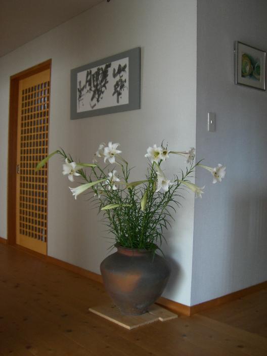 takasagoyuri-65.jpg