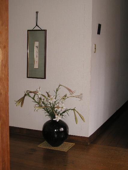 takasagoyuri-semisigure.jpg