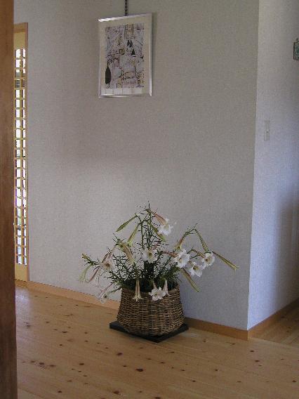 takasagoyuri.jpg