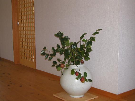 tubaki-mi.jpg