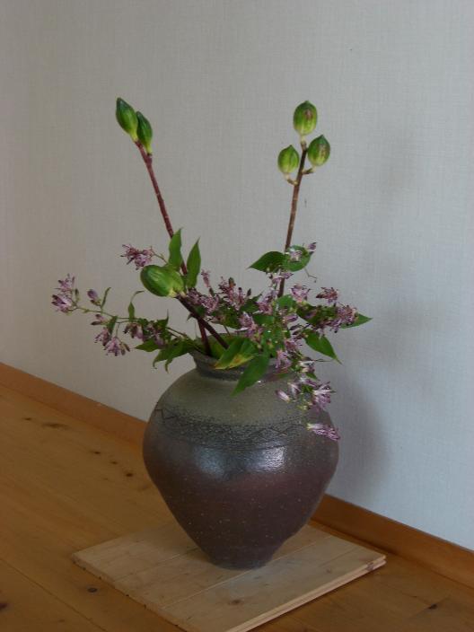ubayri-hototogisu.jpg