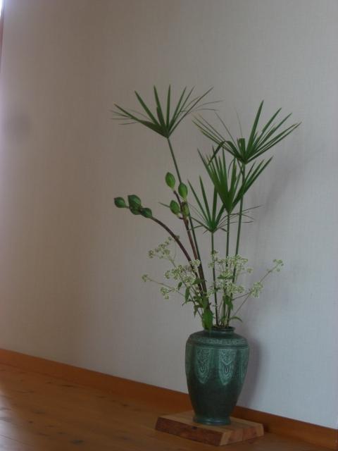 ubayurinomi-kayaturigusa-hiyodoribana.jpg