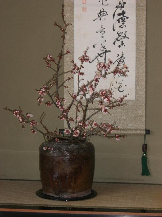 ume-59.jpg