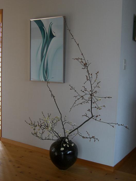 ume-71-gennkann.jpg