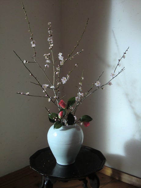 ume-tubaki-201.jpg