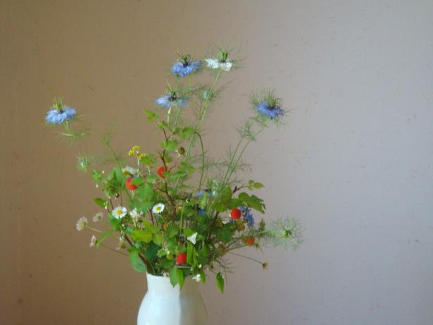 wildflower-99.jpg