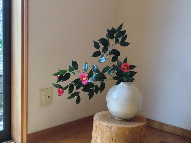 yabutubaki-130.jpg