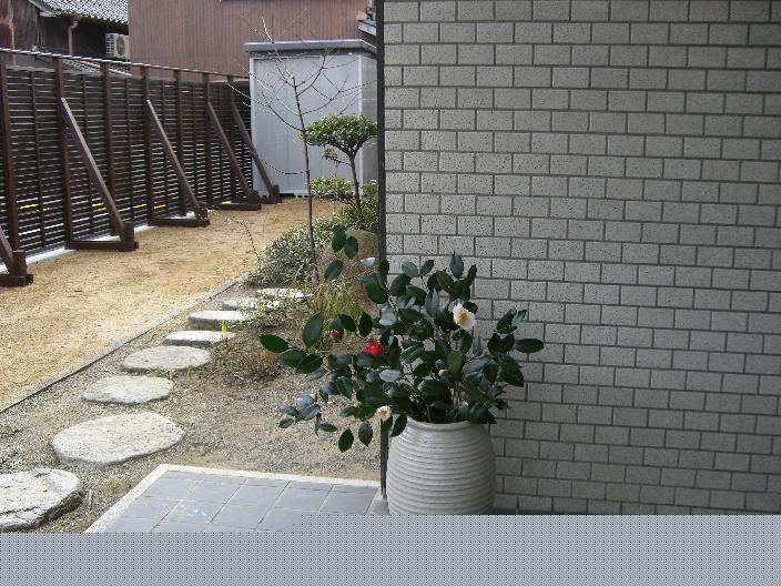 yabutubaki-58.jpg