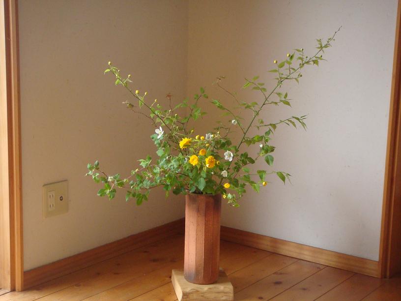 yamabuki-noitigo.jpg