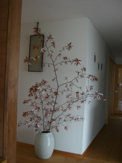 yamazakura-85.jpg