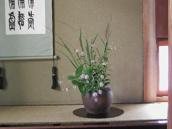 yomena-tikarasiba-inutade-yamahototogisu.jpg