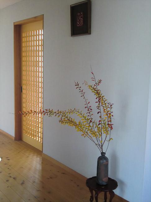 yukiyanagi-105.jpg